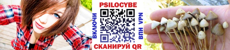 где можно купить   Буй  Псилоцибиновые грибы Magic Shrooms 